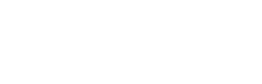 spinmama Visa-logo-white